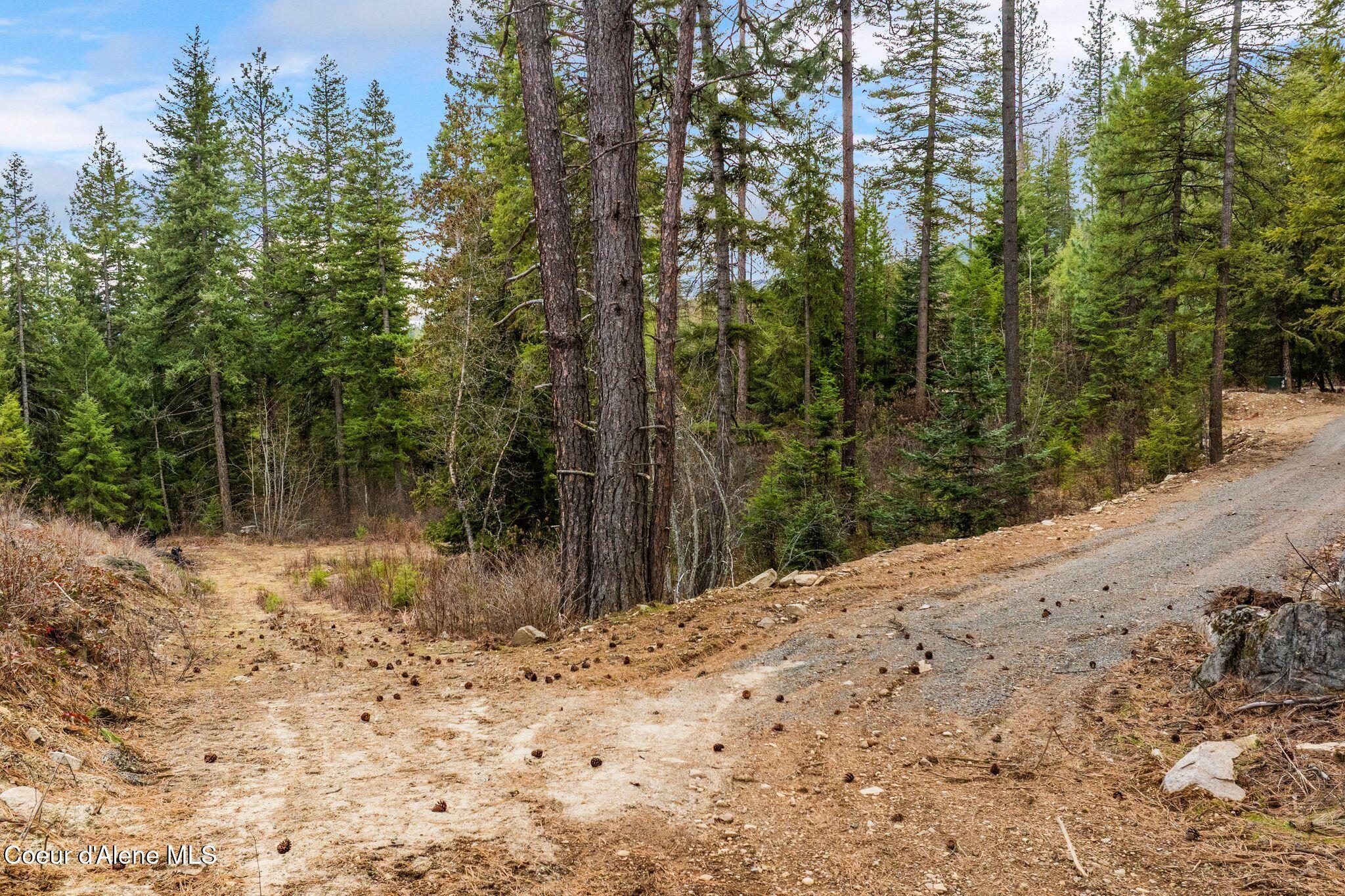 832 Mountain Ridge Drive Sagle, ID 83860 - Photo 12 of 19 12_DJI_20260310055434_0415_D