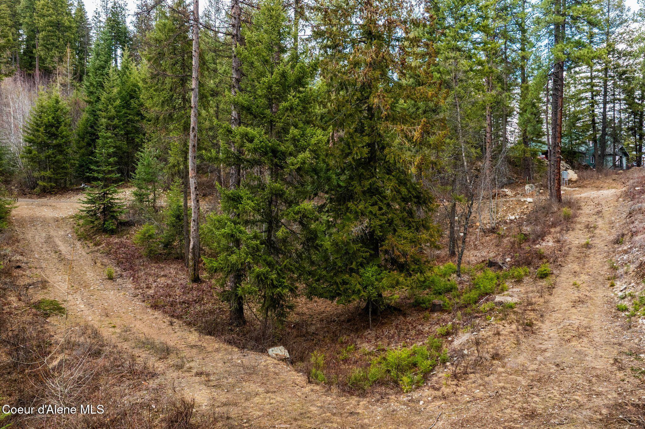 832 Mountain Ridge Drive Sagle, ID 83860 - Photo 13 of 19 13_DJI_20260310055530_0425_D