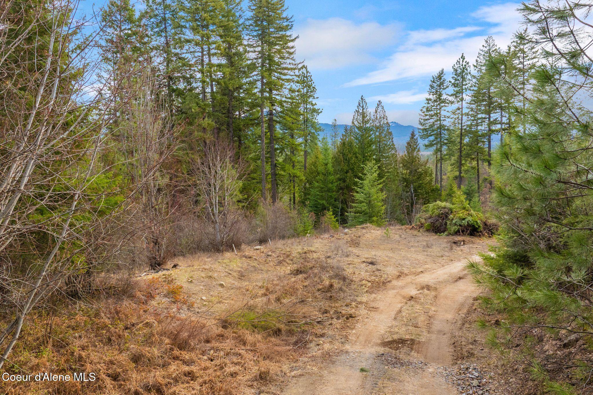 832 Mountain Ridge Drive Sagle, ID 83860 - Photo 14 of 19 14_DJI_20260310060222_0500_D