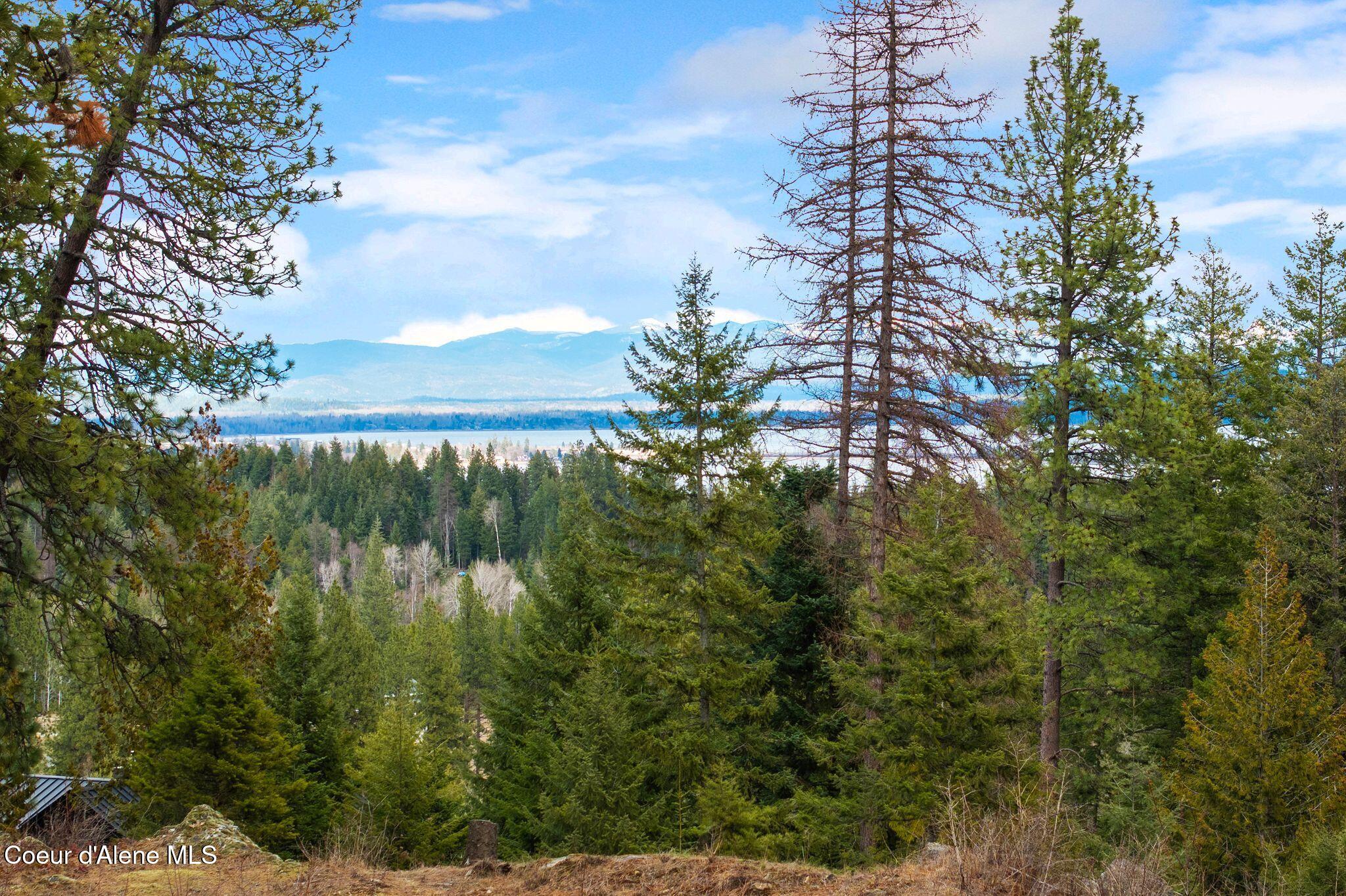 832 Mountain Ridge Drive Sagle, ID 83860 - Photo 3 of 19 3_DJI_20260310055559_0435_D