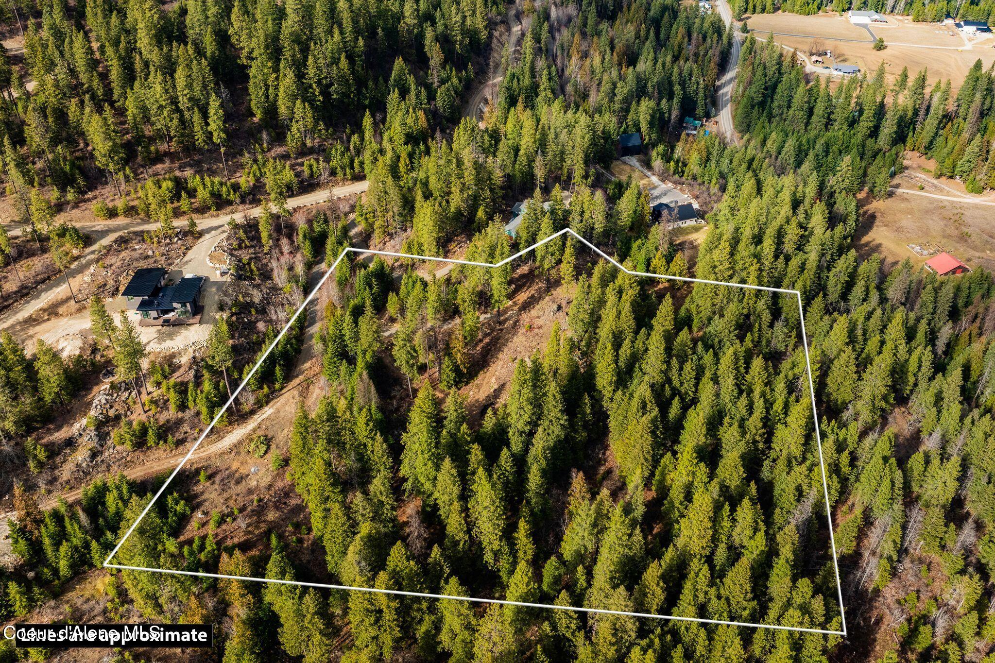832 Mountain Ridge Drive Sagle, ID 83860 - Photo 7 of 19 7_DJI_20260310055742_0450_D plotline