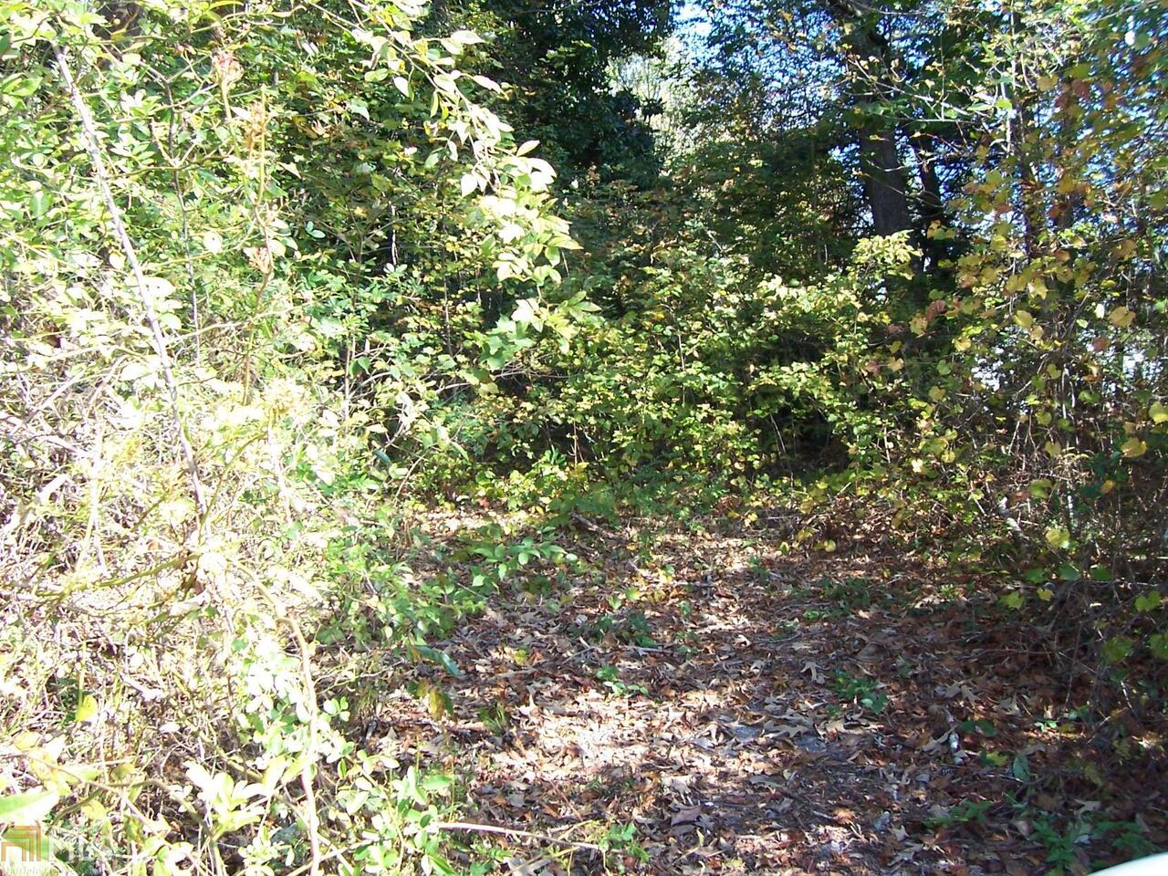 2265 Level Grove Road Cornelia, GA 30531 - Photo 1 of 1 Gallery Image 1
