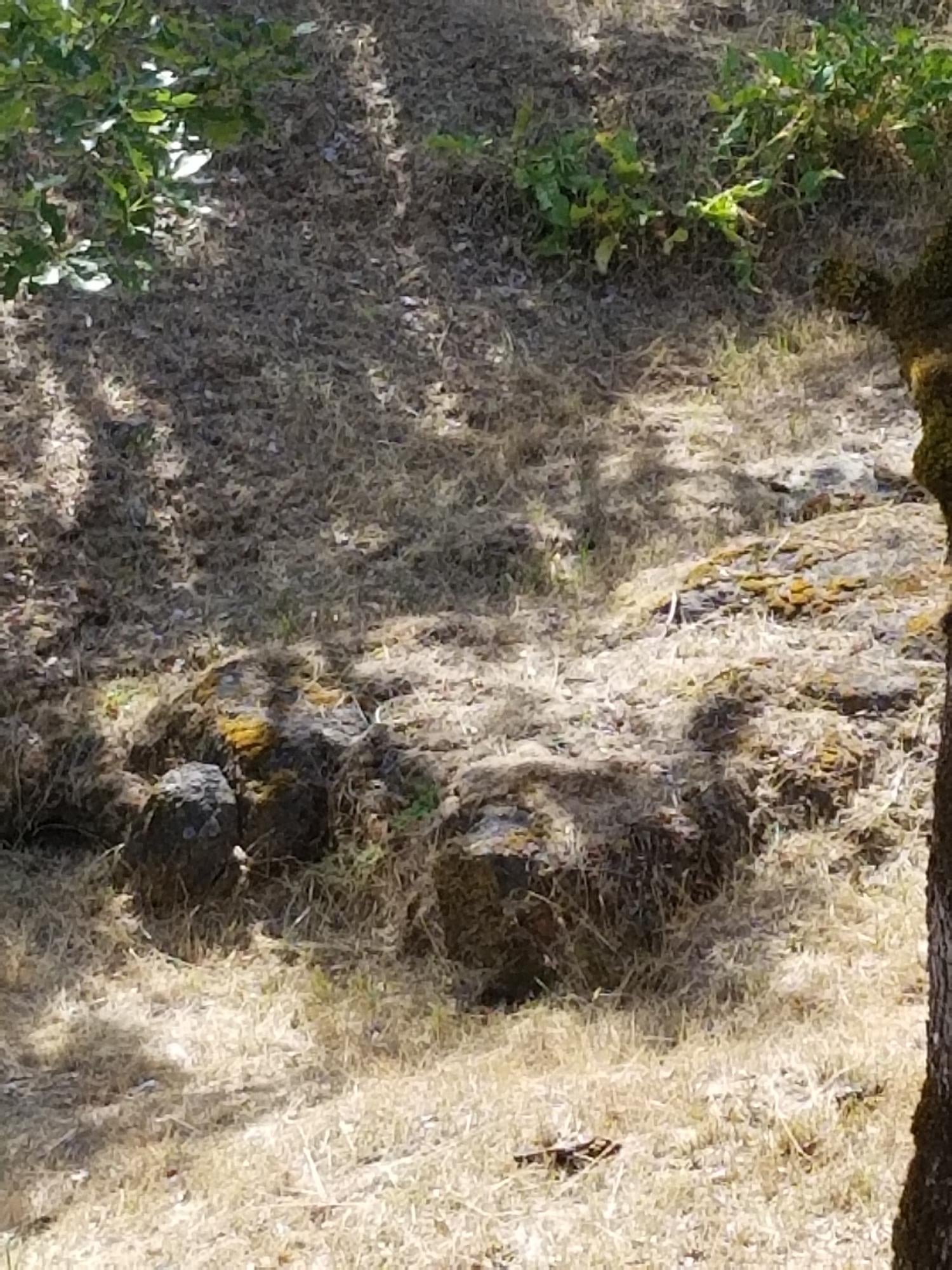 2940 Old Military Road Central Point, OR 97502 - Photo 58 of 75 20200620_101609