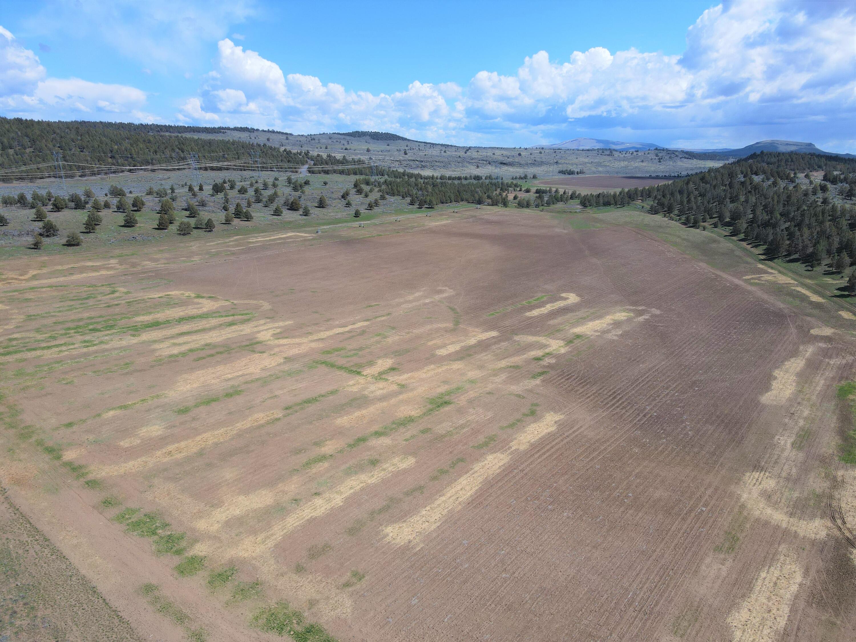 6074 Co Road Tulelake, CA 96134 - Photo 37 of 57 bk13