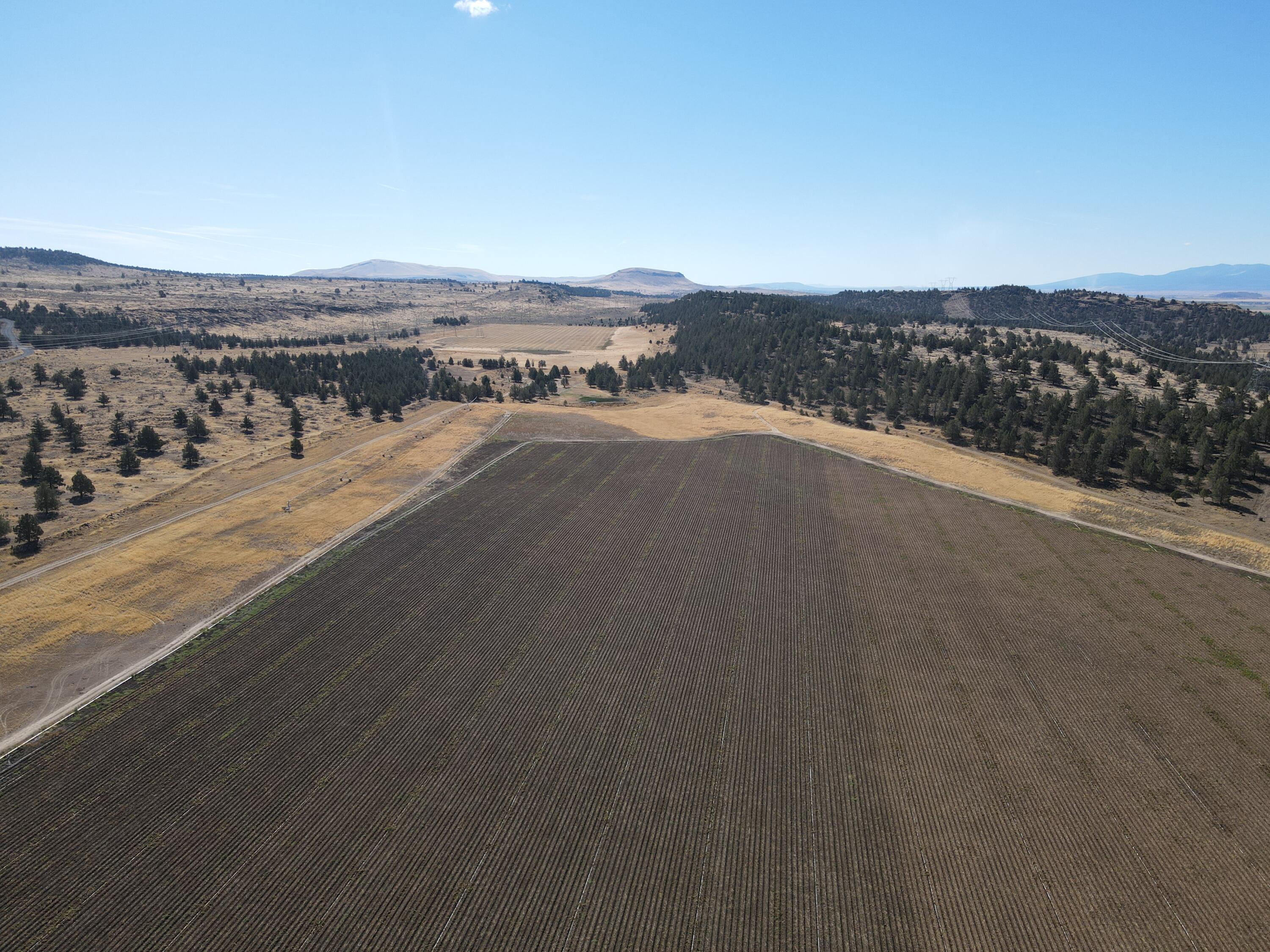 6074 Co Road Tulelake, CA 96134 - Photo 57 of 57 bk57