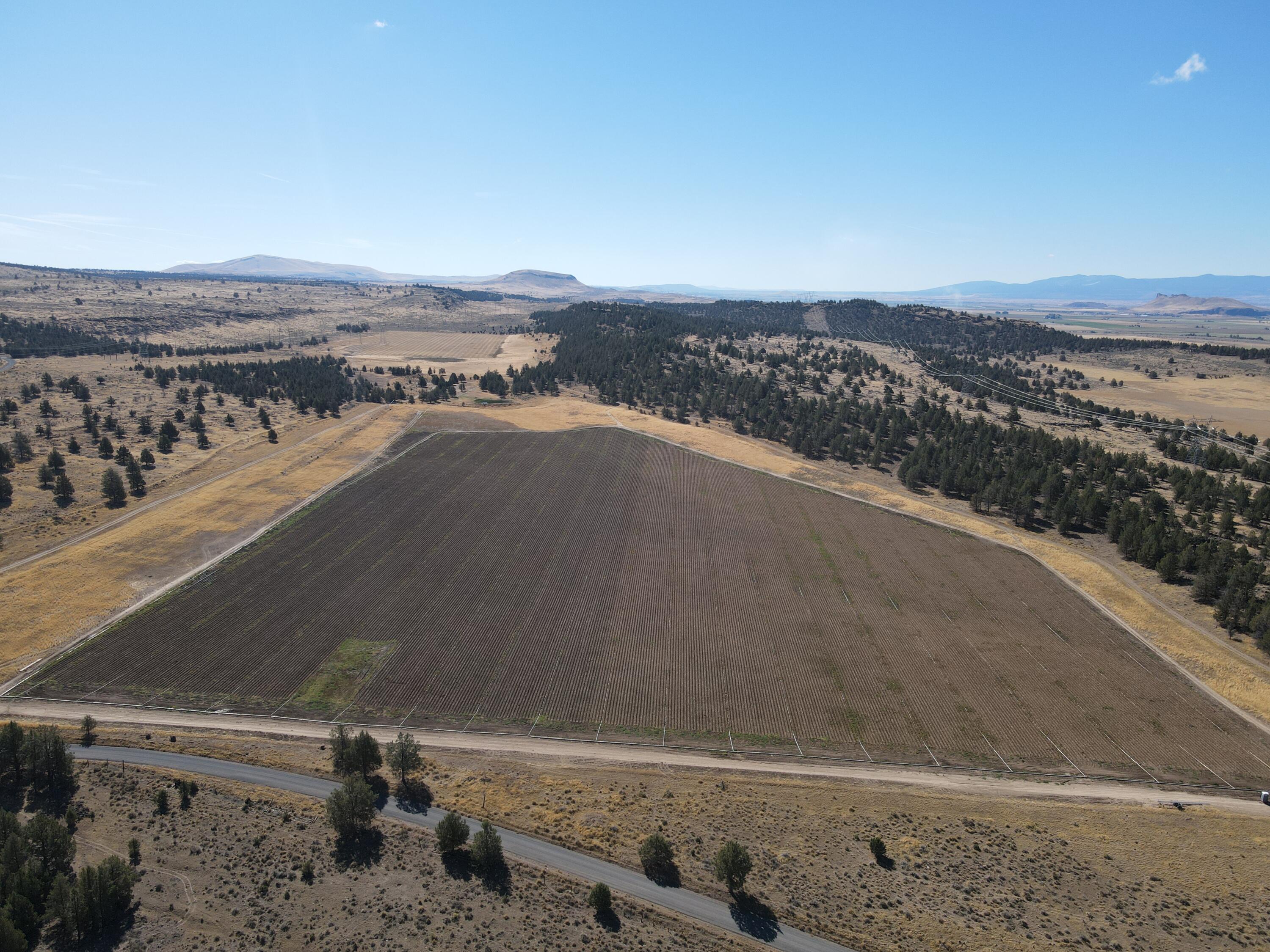 6074 Co Road Tulelake, CA 96134 - Photo 6 of 57 bk58