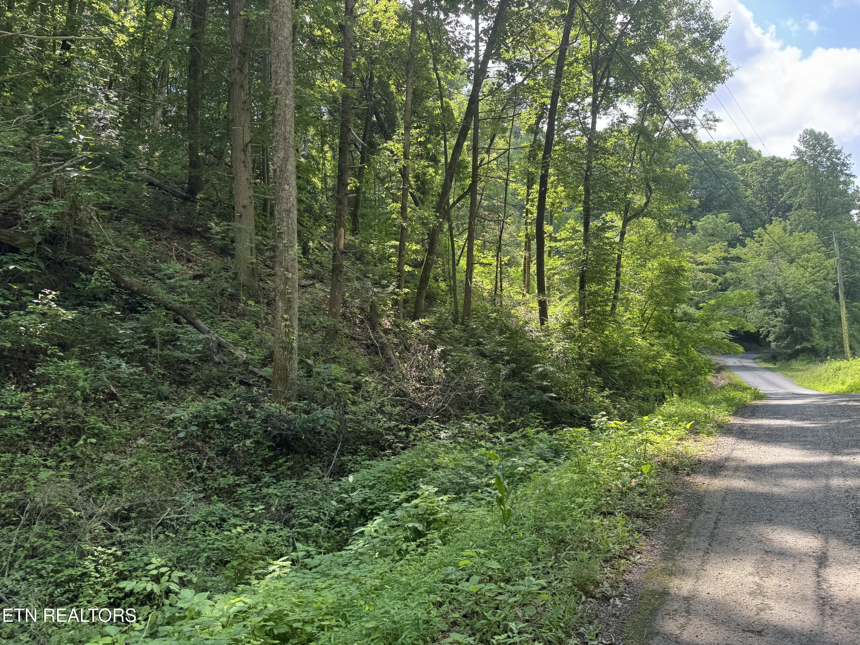 332 Padgett Mill Road Cosby, TN 37722 - Photo 39 of 41 IMG_0401