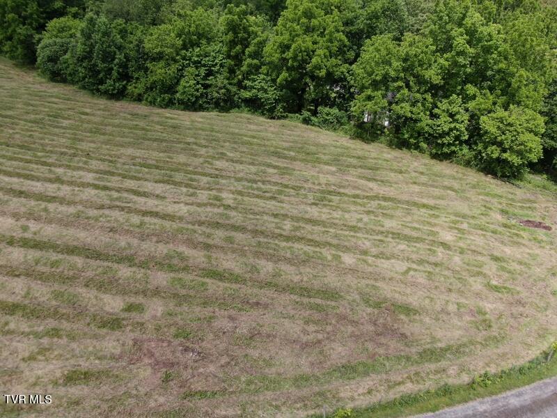 290 Snyder Ridge Road Rose Hill, VA 24281 - Photo 6 of 48 ba74f5d3-22c6-4aec-8f4b-5dd2a45d15dd