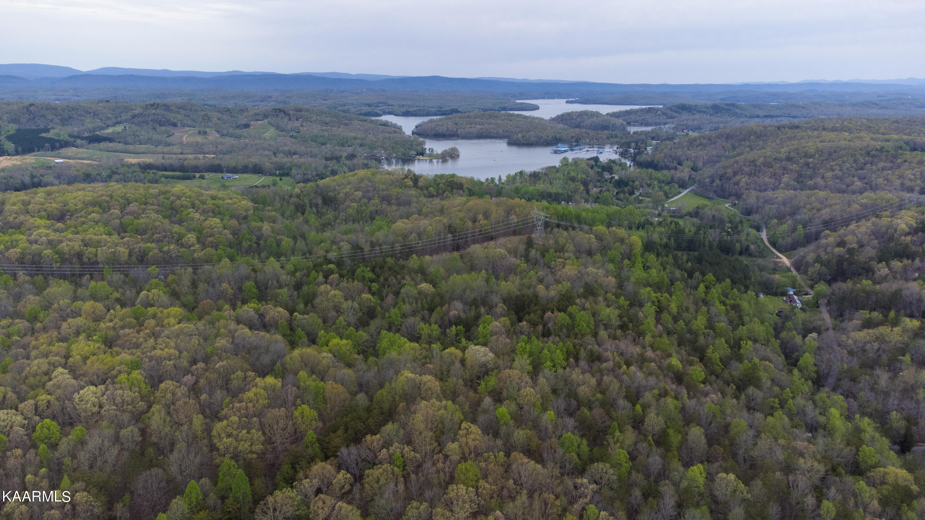 320 Branham Hollow Road Ten Mile, TN 37880 - Photo 53 of 60 DJI_0419
