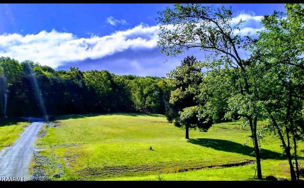 320 Branham Hollow Road Ten Mile, TN 37880 - Photo 57 of 60 Screenshots952022-04-03-11-19-46_2
