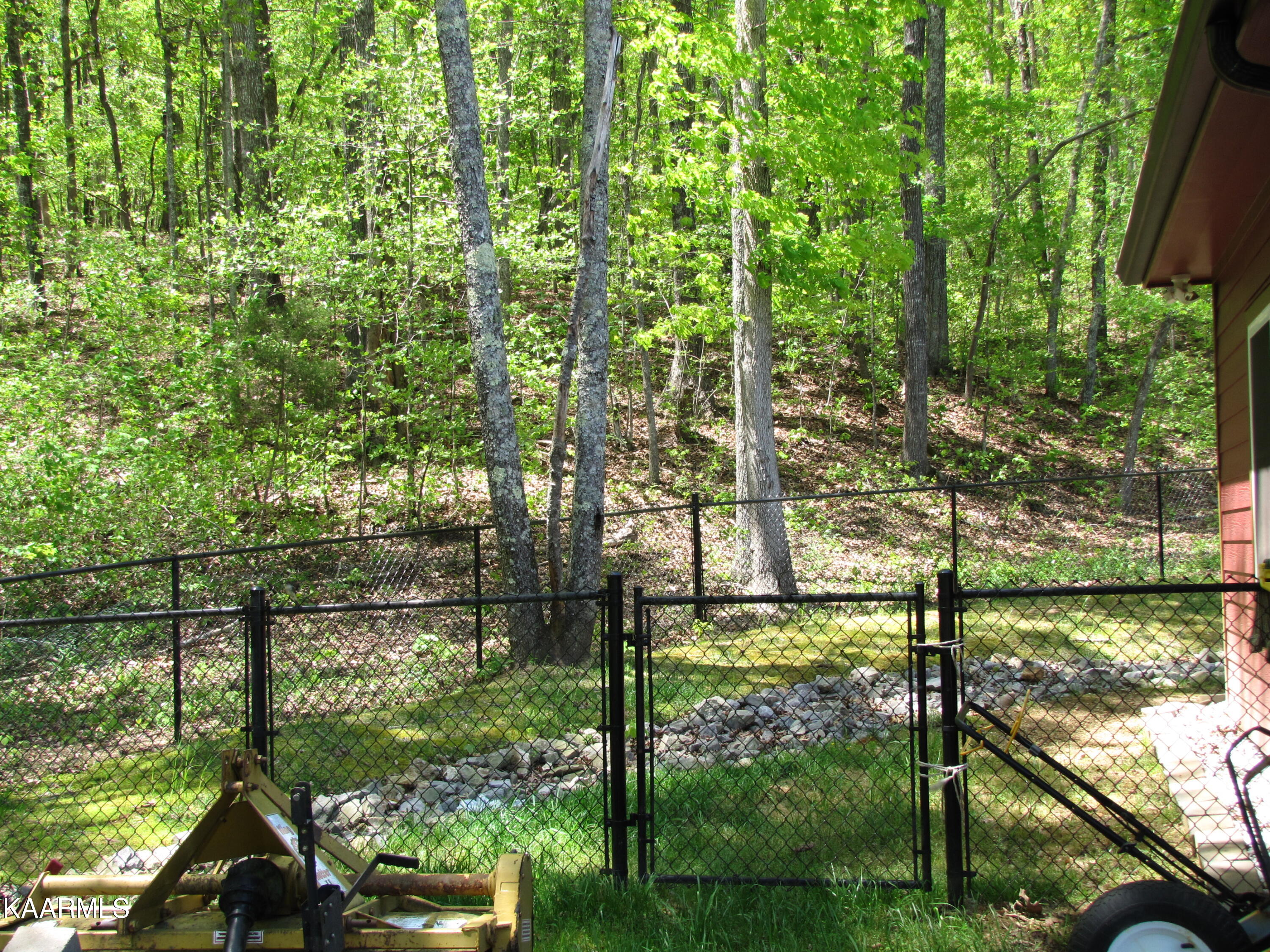 320 Branham Hollow Road Ten Mile, TN 37880 - Photo 59 of 60 IMG_9354