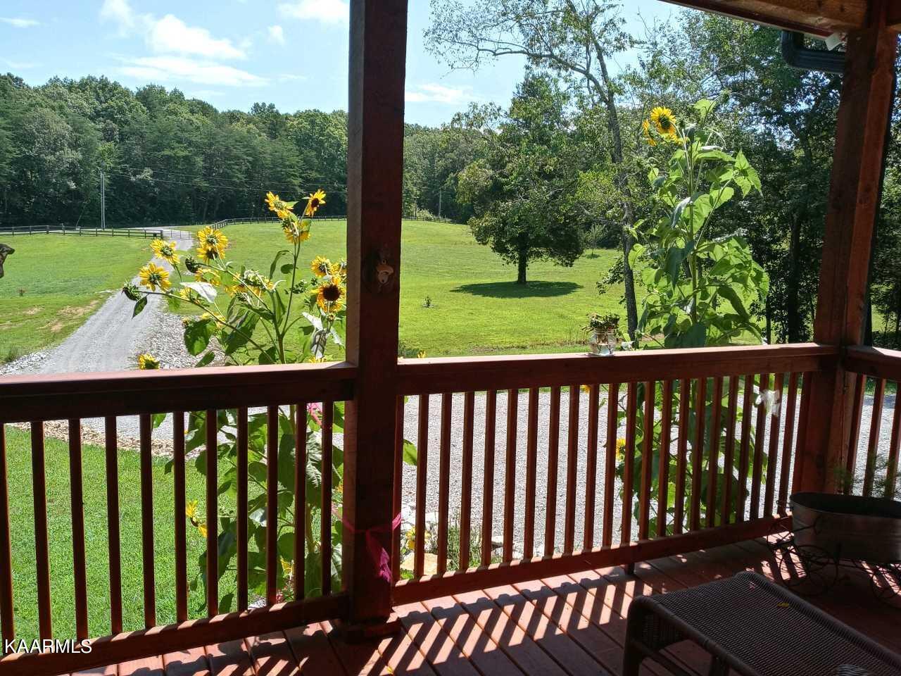320 Branham Hollow Road Ten Mile, TN 37880 - Photo 60 of 60 123_1010