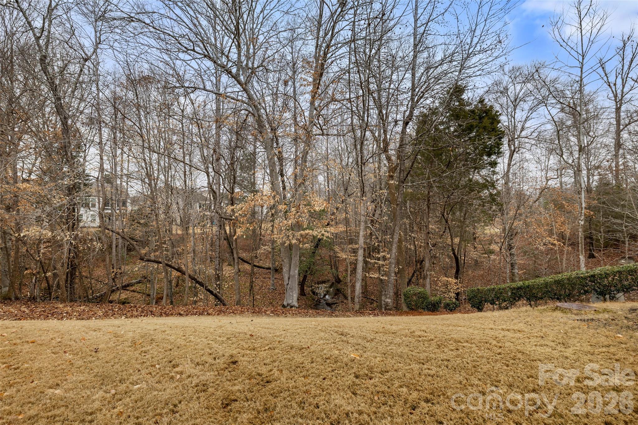 10564 Bethpage Drive Fort Mill, SC 29707 - Photo 33 of 47