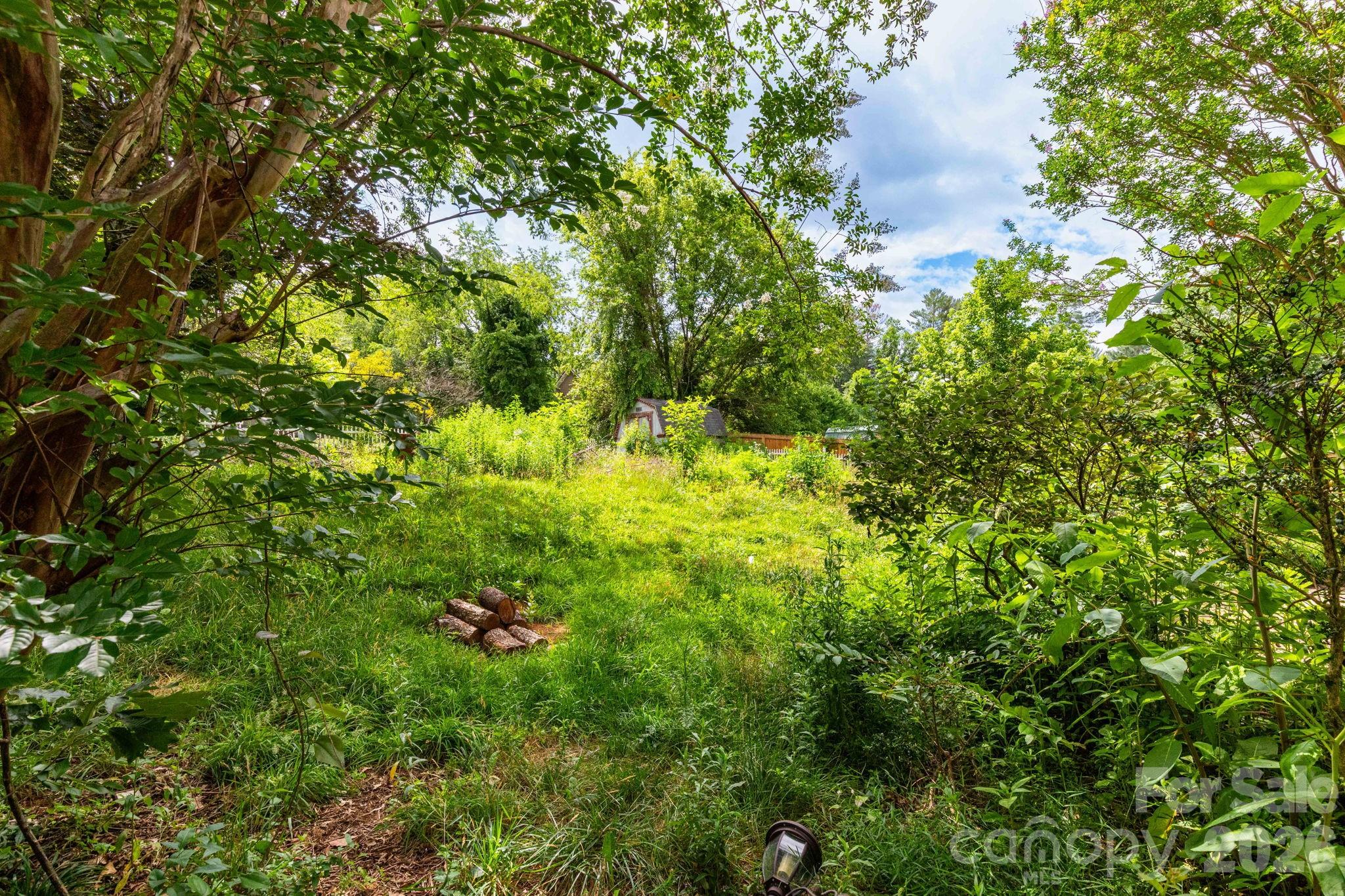 5 Carter View Lane Arden, NC 28704 - Photo 20 of 24