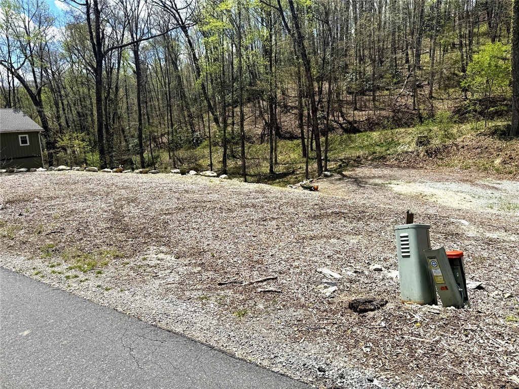 42 Ivy Road Newland, NC 28657 - Photo 6 of 11 a row of road with trees