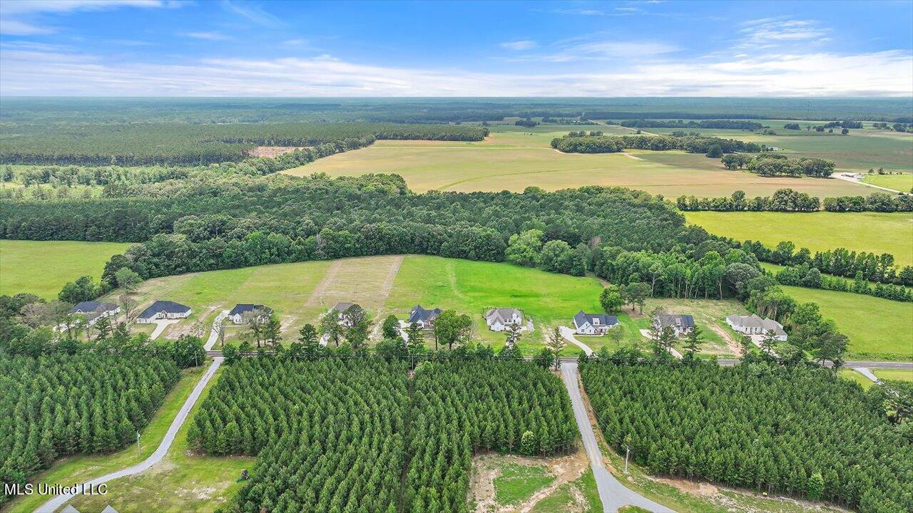 182 Harrell Road Pelahatchie, MS 39145 - Photo 51 of 84 49-182 Harrell Rd