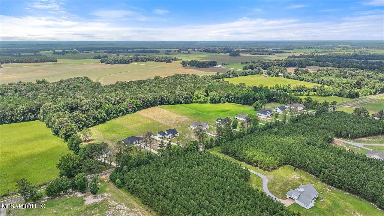 182 Harrell Road Pelahatchie, MS 39145 - Photo 52 of 84 50-182 Harrell Rd