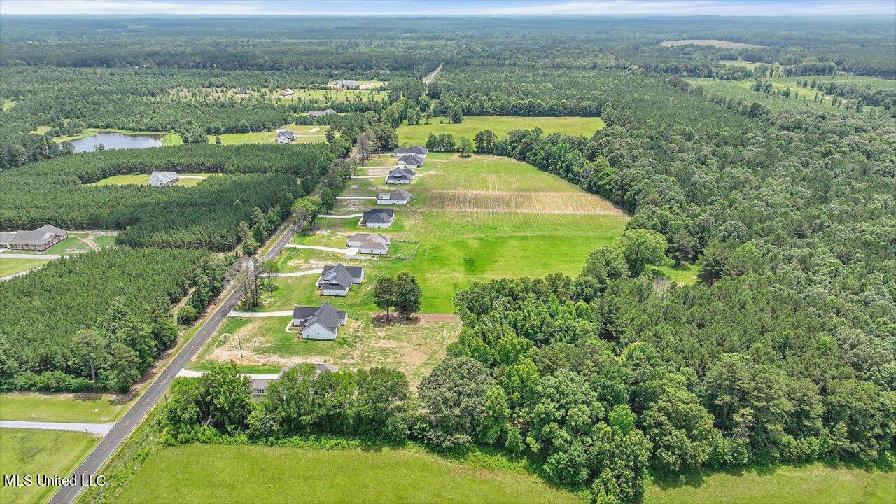 182 Harrell Road Pelahatchie, MS 39145 - Photo 59 of 84 57-182 Harrell Rd