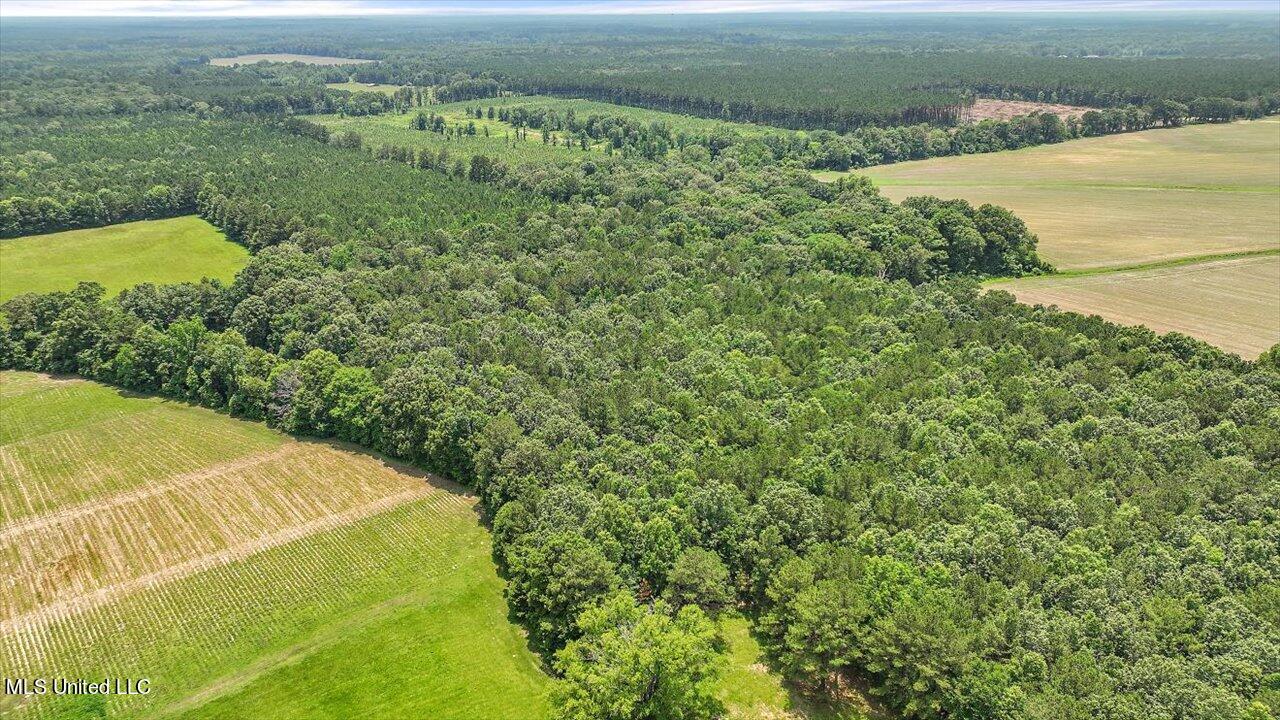 182 Harrell Road Pelahatchie, MS 39145 - Photo 73 of 84 71-182 Harrell Rd