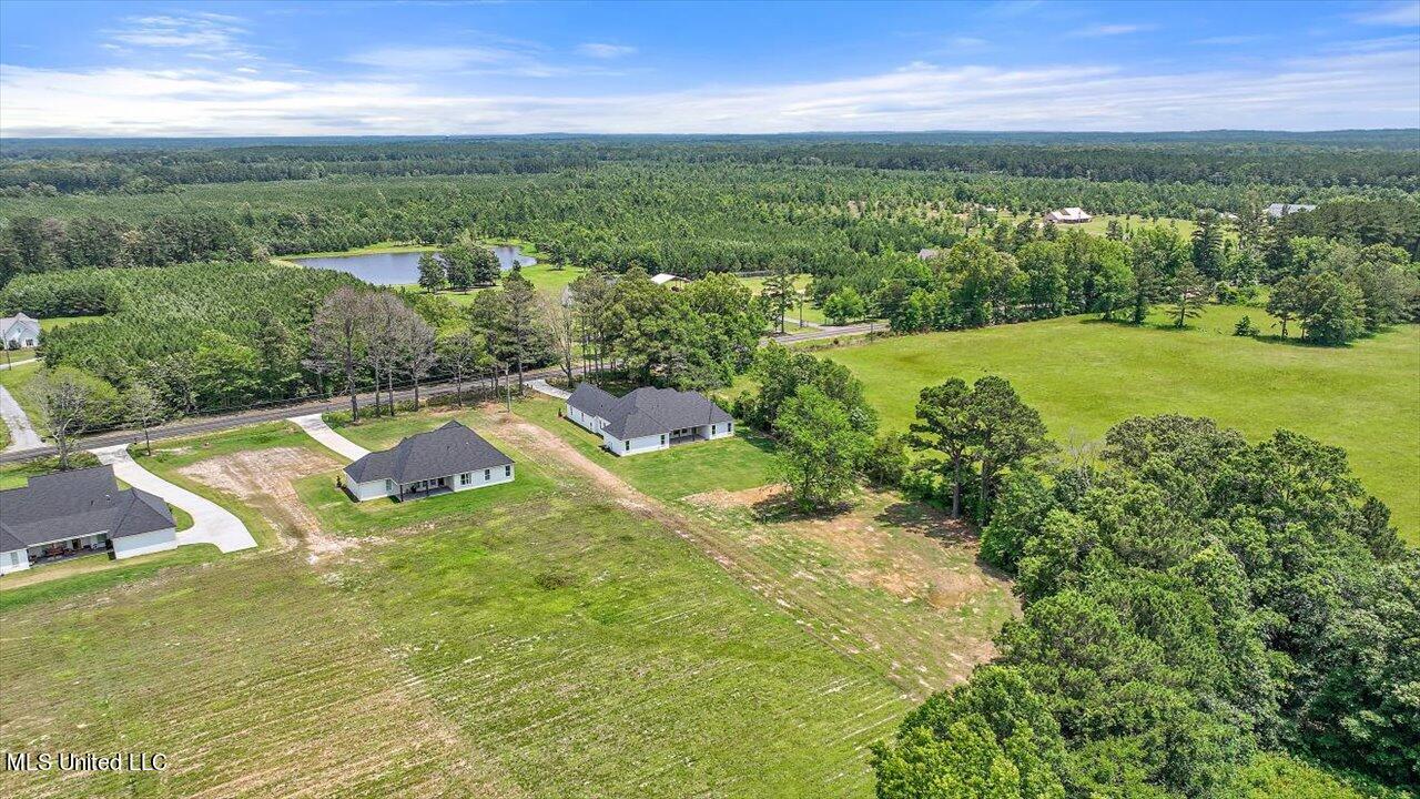 182 Harrell Road Pelahatchie, MS 39145 - Photo 75 of 84 73-182 Harrell Rd