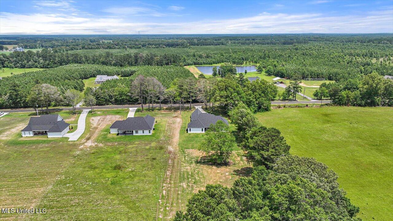 182 Harrell Road Pelahatchie, MS 39145 - Photo 76 of 84 74-182 Harrell Rd