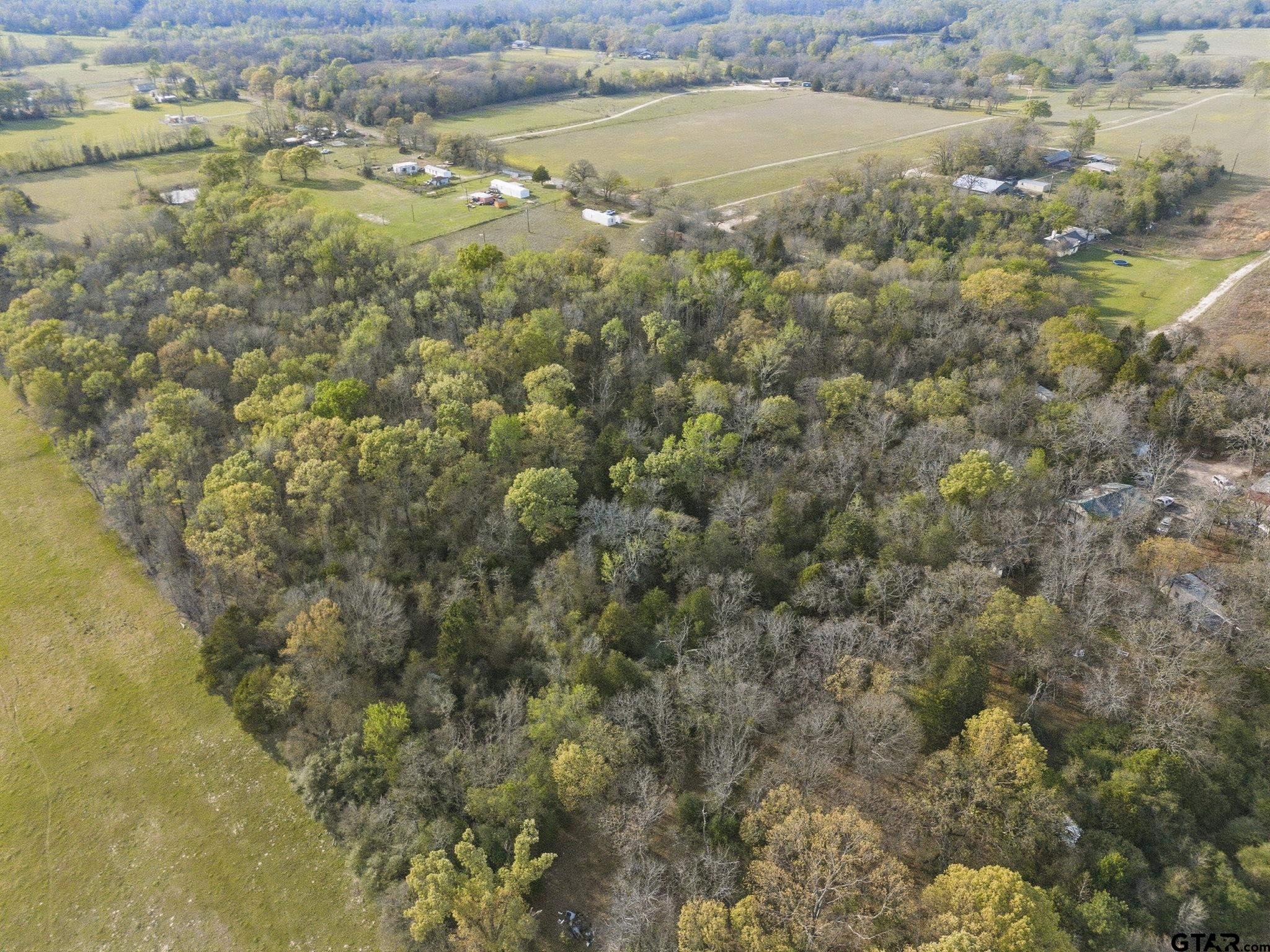 4610 (gary Rd) Athens Tx 75752 Athens, TX 75752 - Photo 3 of 9