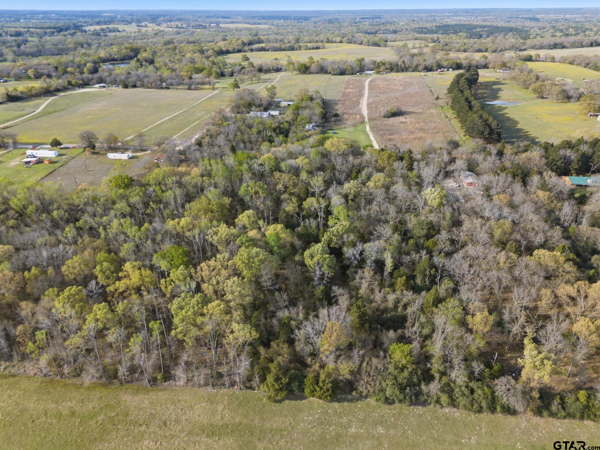 4610 (gary Rd) Athens Tx 75752 Athens, TX 75752 - Photo 6 of 9