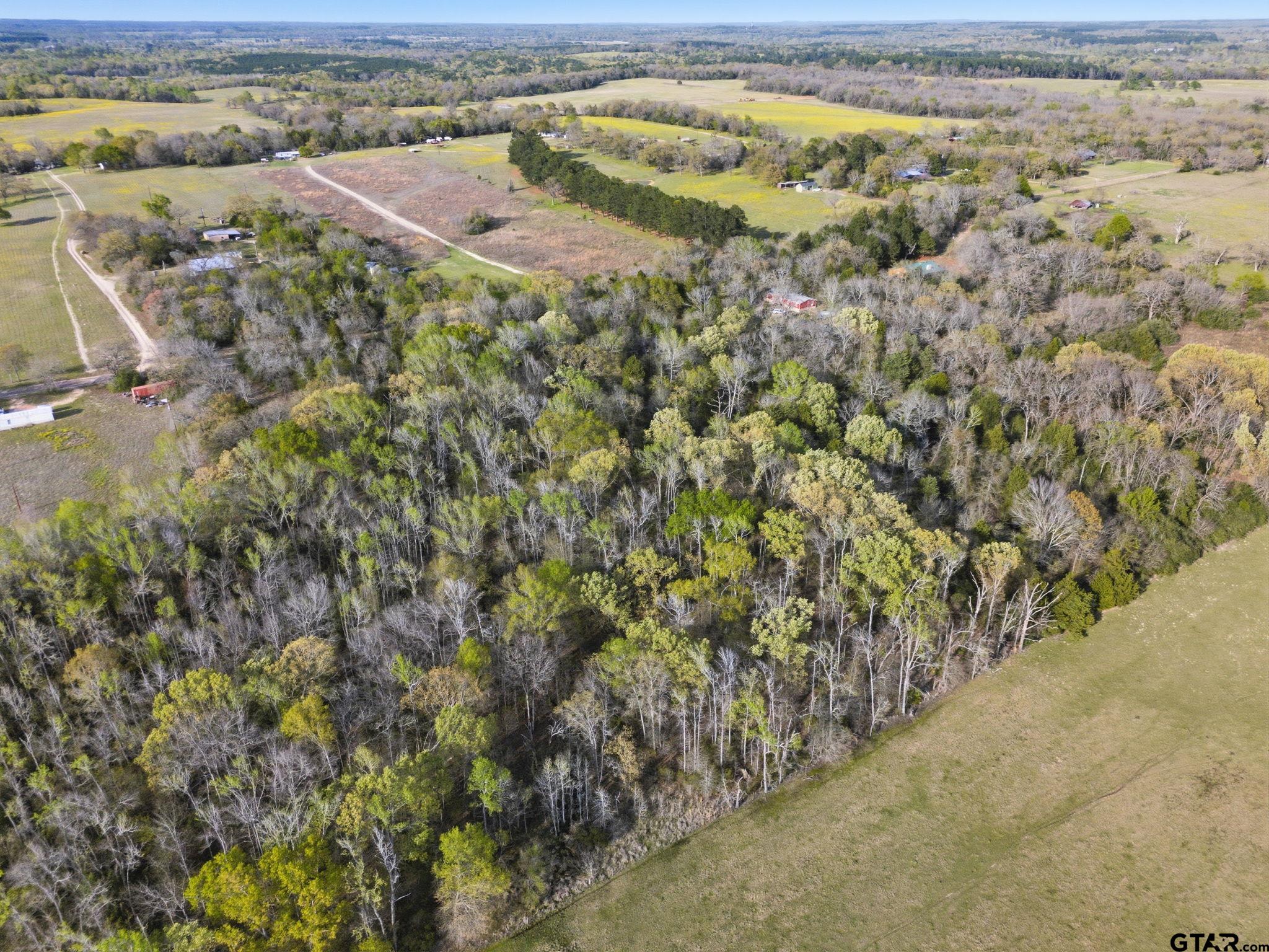 4610 (gary Rd) Athens Tx 75752 Athens, TX 75752 - Photo 8 of 9