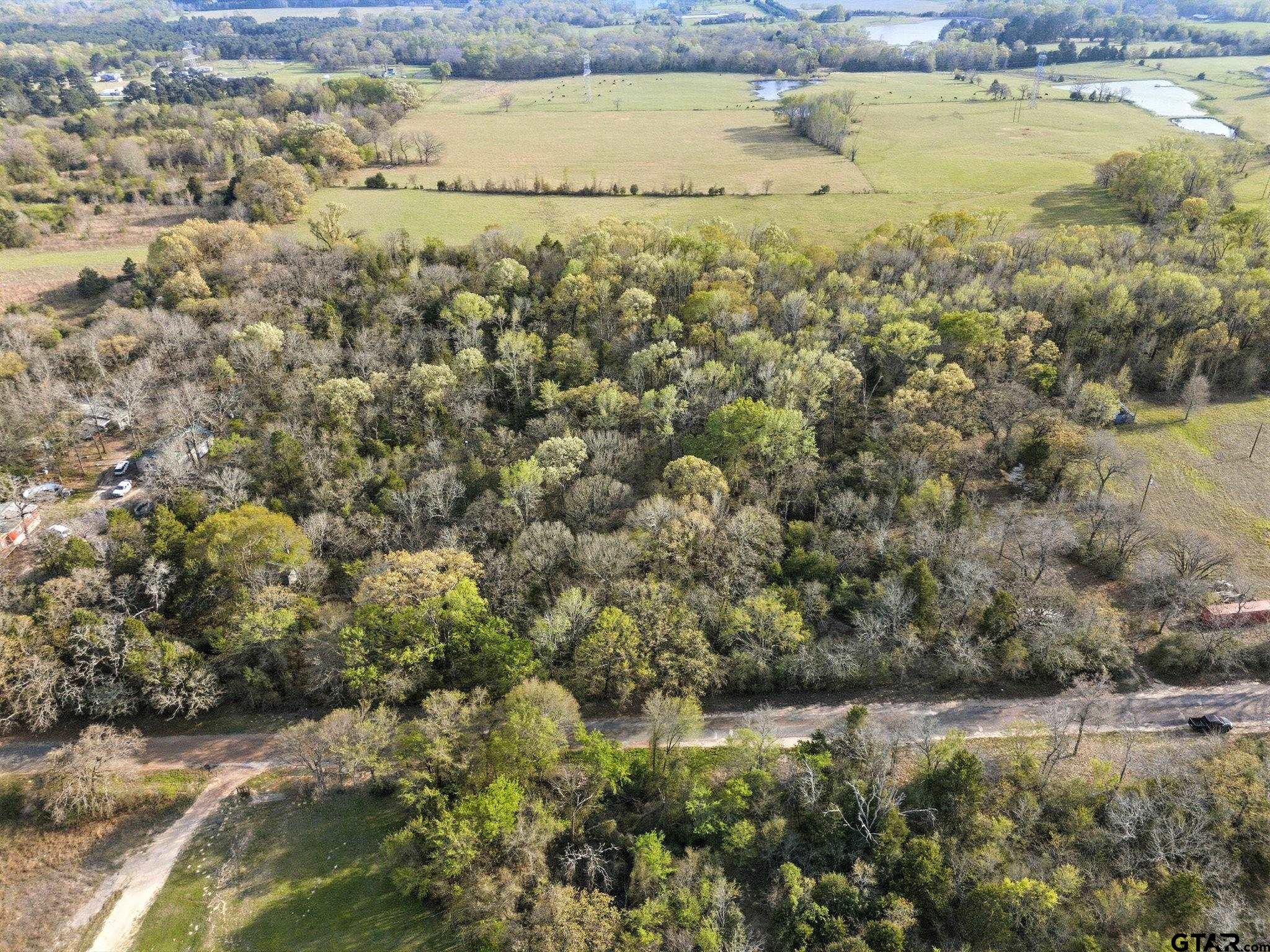 4610 (gary Rd) Athens Tx 75752 Athens, TX 75752 - Photo 9 of 9