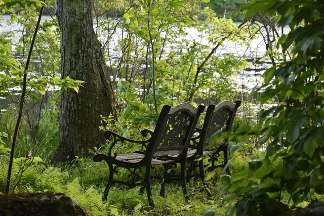 a backyard of a house with lots of green space and trees