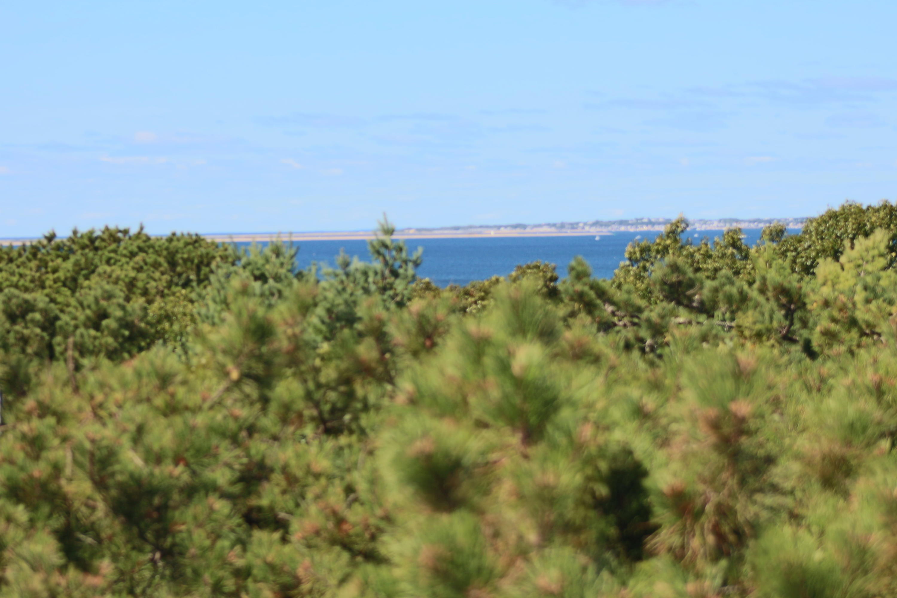 26 Fishermans Road Truro, MA 02666 - Photo 22 of 29 a view of a field