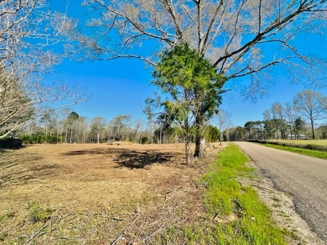 0 Jayess Road Jayess, MS 39641 - Photo 2 of 7 Photo 2