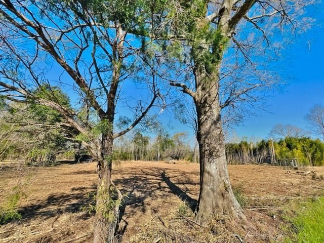 0 Jayess Road Jayess, MS 39641 - Photo 3 of 7 Photo 3