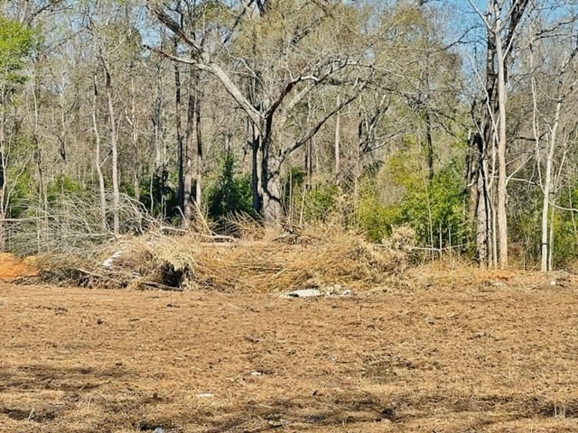 0 Jayess Road Jayess, MS 39641 - Photo 6 of 7 Photo 6
