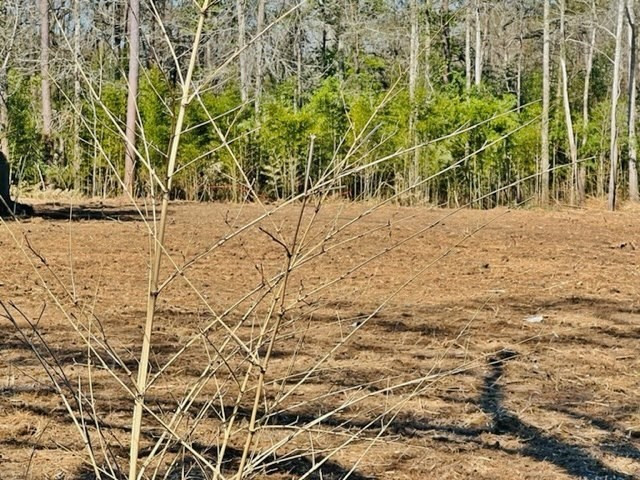 0 Jayess Road Jayess, MS 39641 - Photo 7 of 7 Photo 7