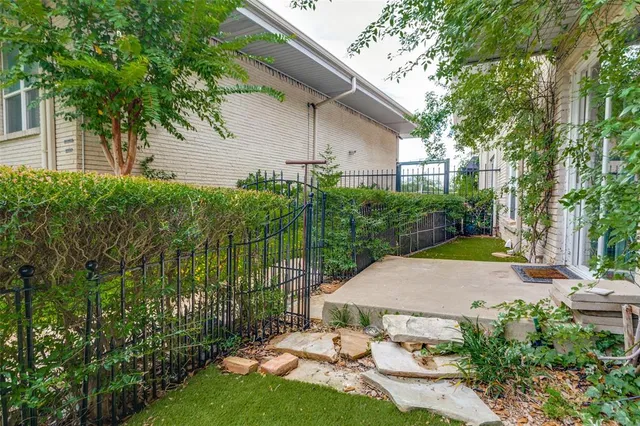 a view of backyard with potted plants and a large tree