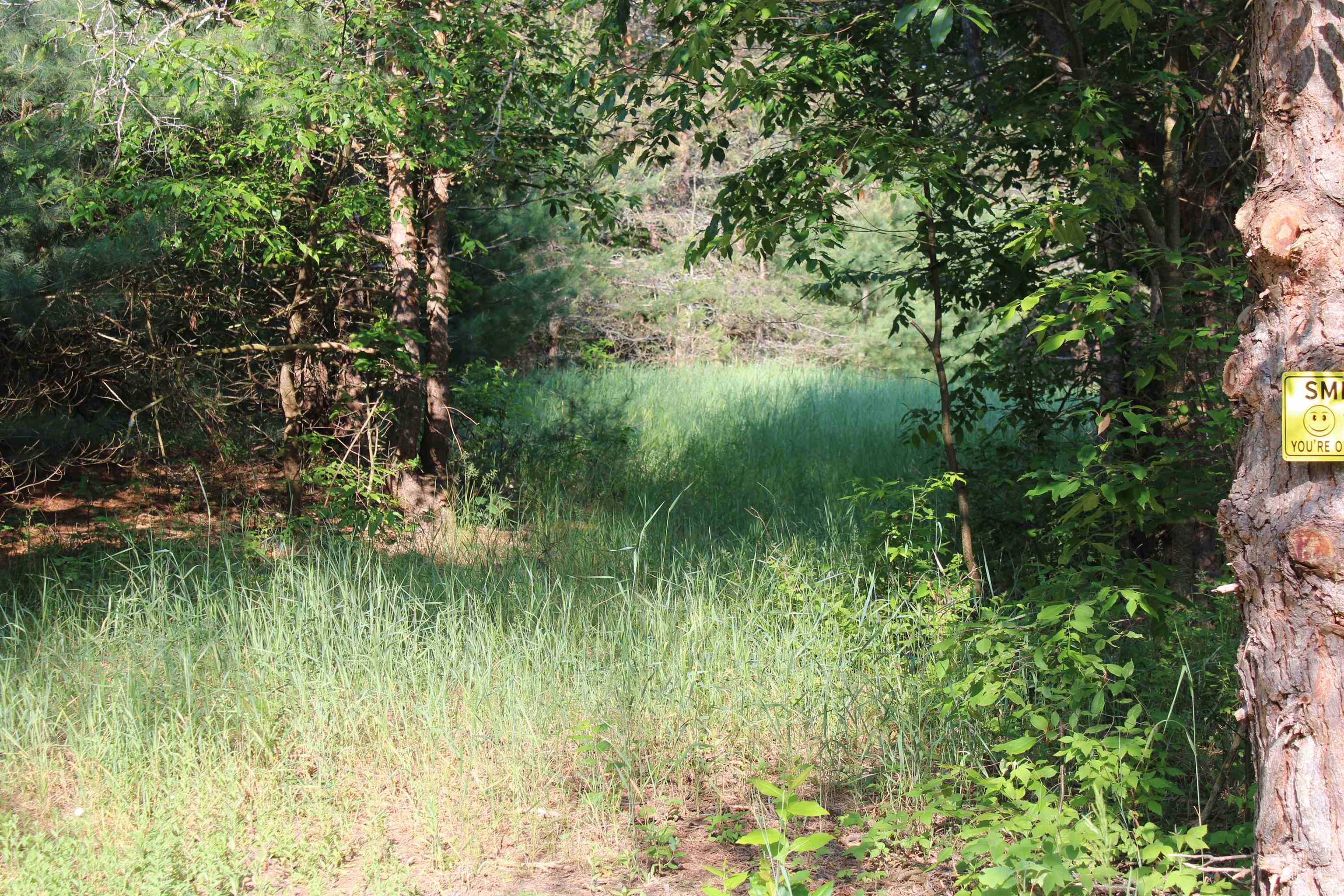 10370 Sperry Road Southwest Fife Lake, MI 49633 - Photo 2 of 10