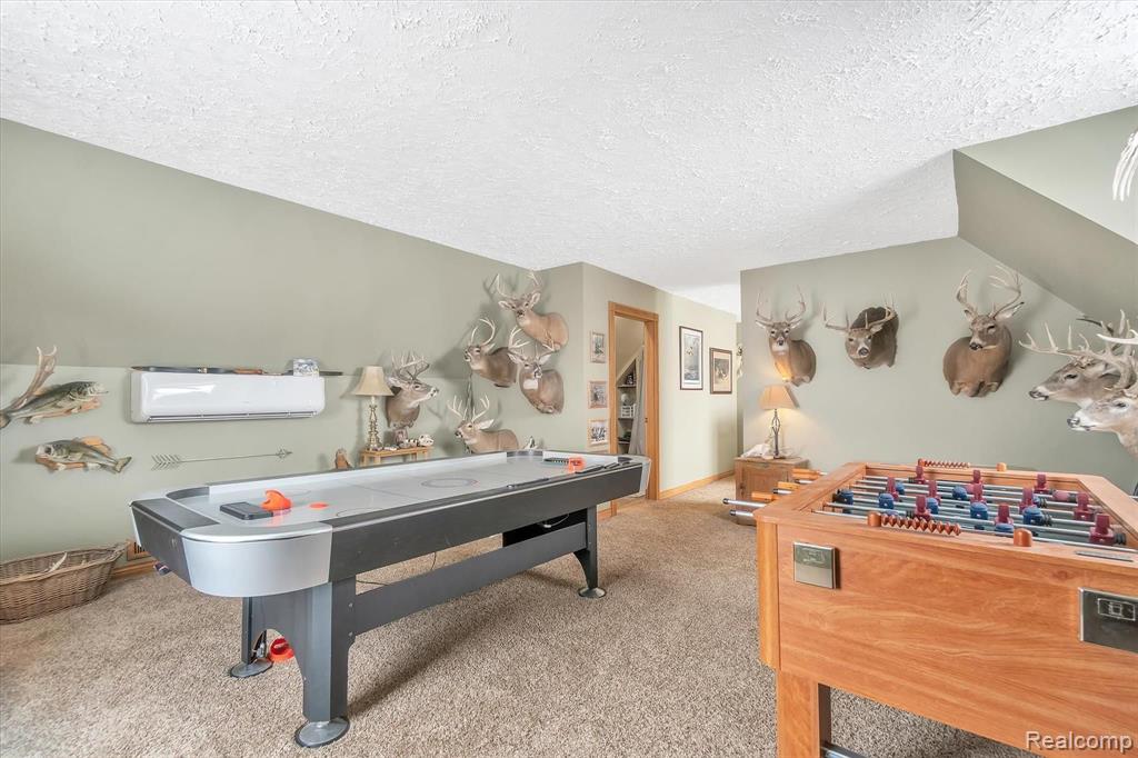 9344 Antcliff Road Howell, MI 48855 - Photo 21 of 43 Gallery Image 21