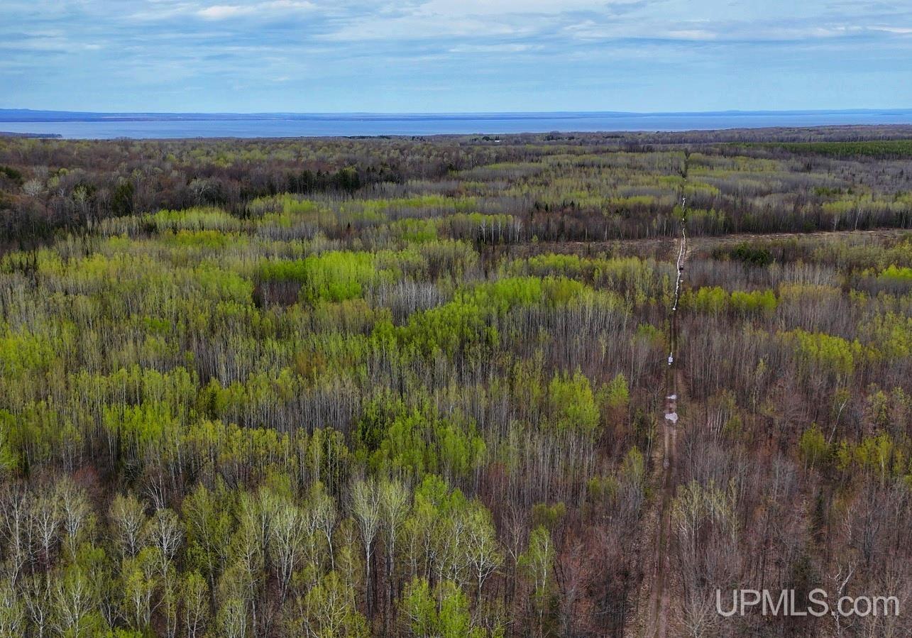Tbdw Tbdw Off Townline Road Lanse, MI 49946 - Photo 12 of 17