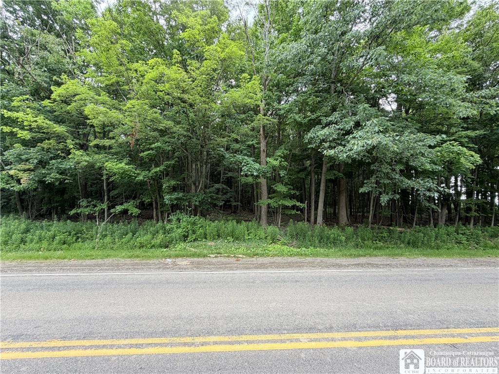 0 Panama-Stedman Road Ashville, NY 14710 - Photo 5 of 5
