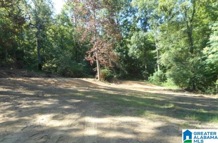 825 Browns Valley Road, Unit 9 Pell City, AL 35128 - Photo 3 of 4
