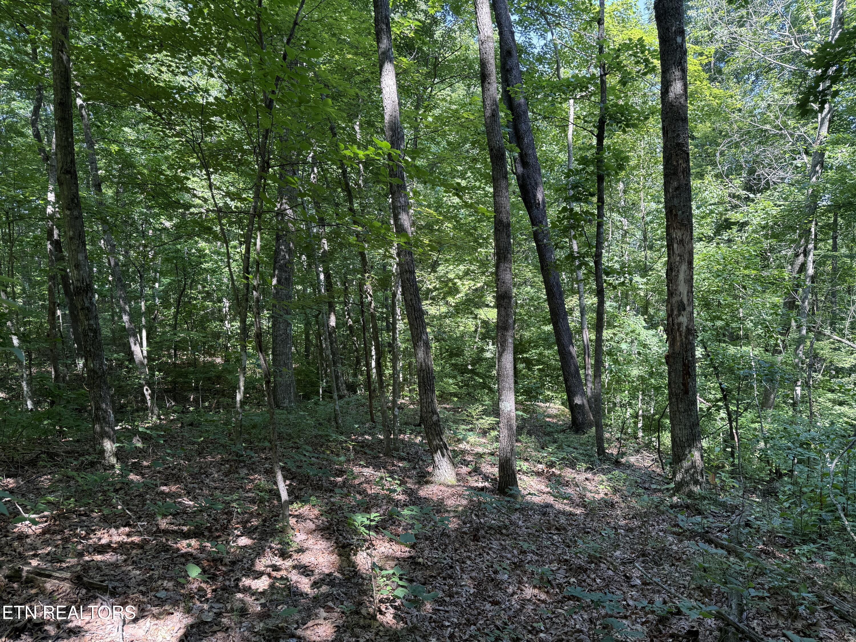 Lot 2 East Cove Road Monterey, TN 38574 - Photo 2 of 2 IMG_1342