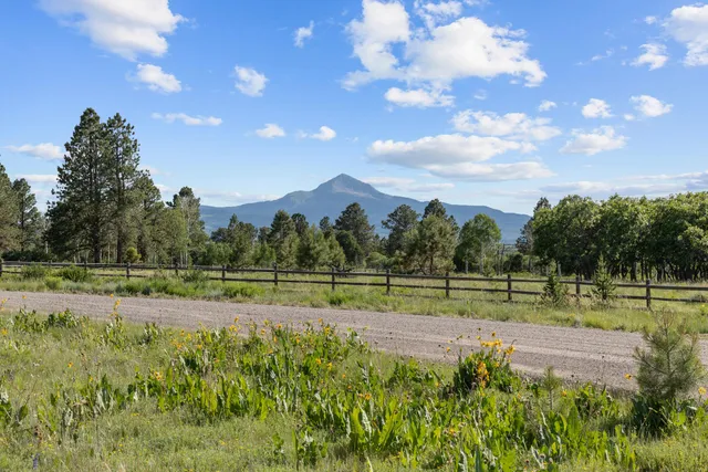 a view of outdoor space