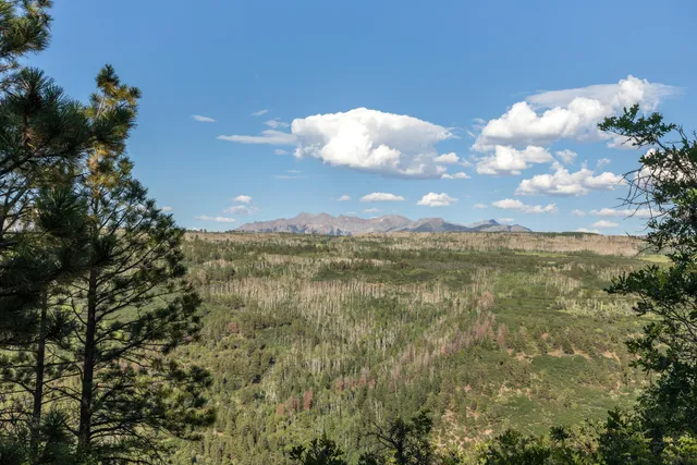a view of a yard with an outdoor space and seating