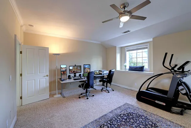 a front view of house with a garden