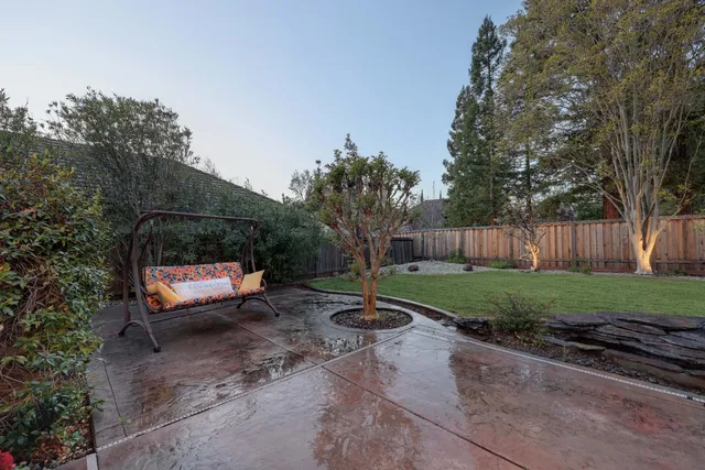 a view of backyard with tree