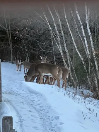 $395,000 | 7 Emerald Acres, Madison, ME 04950