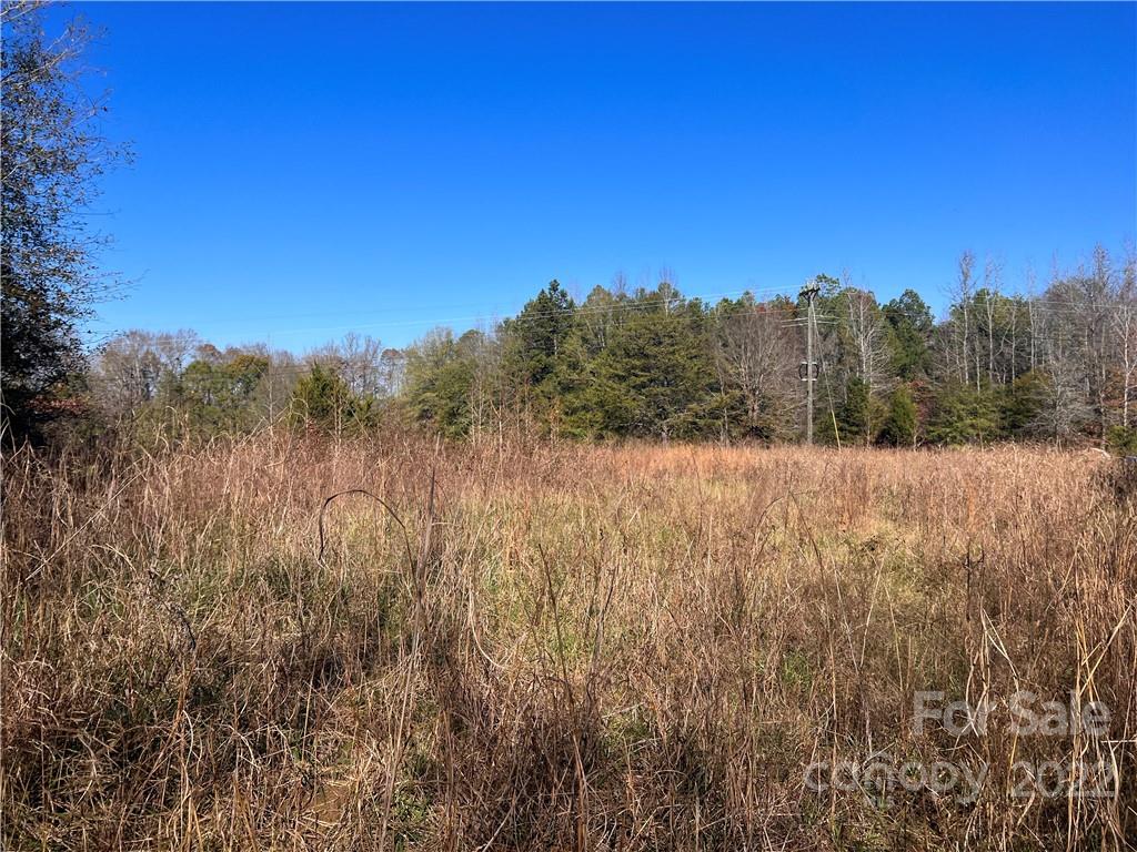 2995 McCaw Road Sharon, SC 29742 - Photo 1 of 9 a view of a dry yard with trees in the background