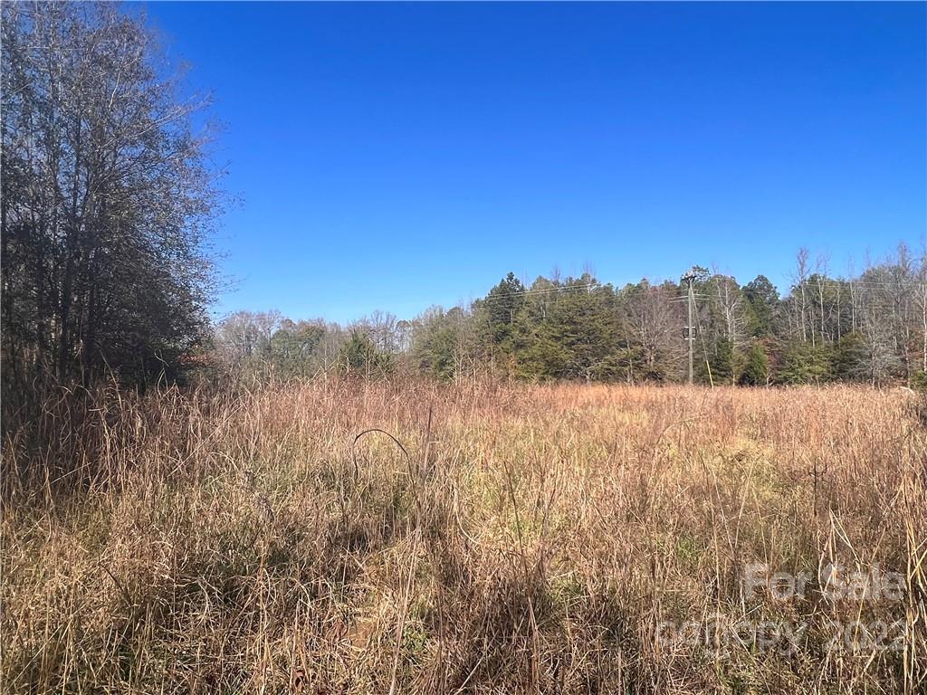 2995 McCaw Road Sharon, SC 29742 - Photo 6 of 9 a view of mountain view with trees in the background