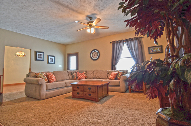 308 West Thomas Street Ransom, IL 60470 - Photo 15 of 15